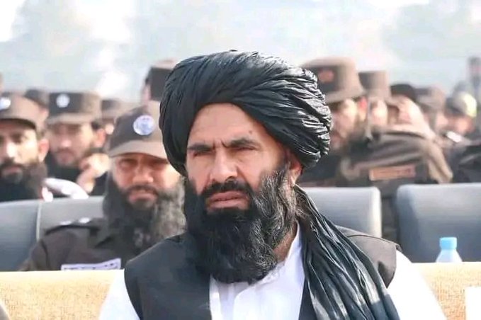 داود مزمل