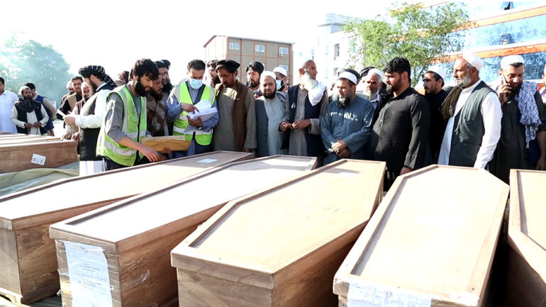 اجساد پناهجویان