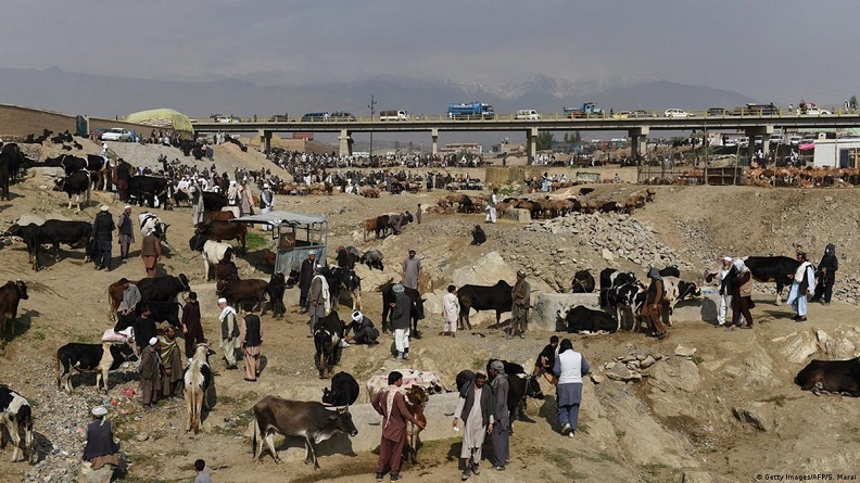 تب کانگو
