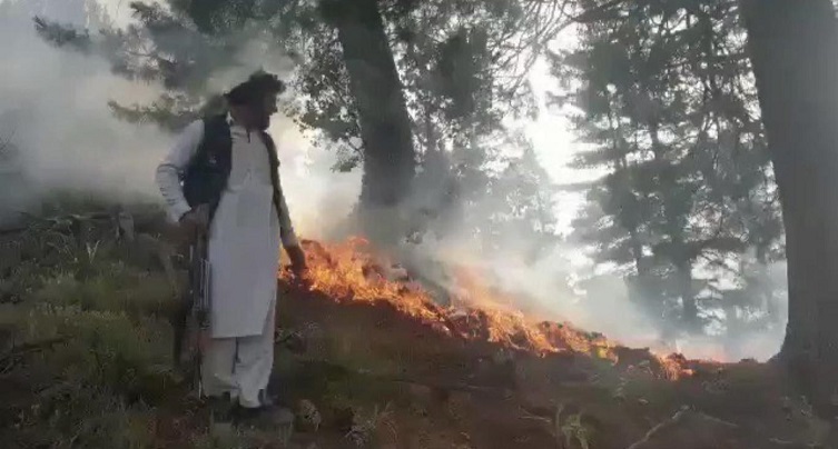 جنگلات کنر 