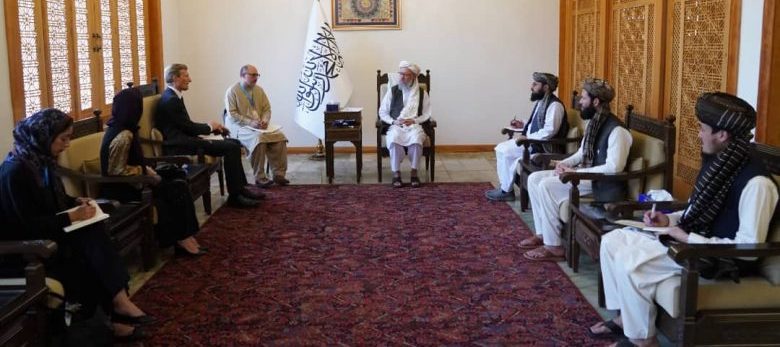 حنفی و کارل سکاو