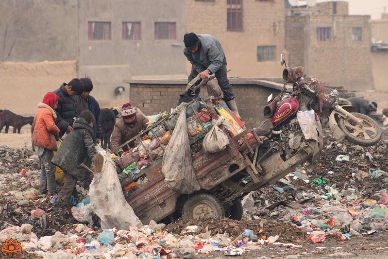 آلودگی محیط زیست