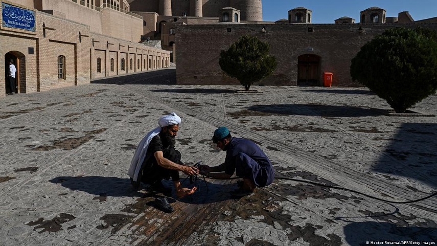 ارگ شاهی