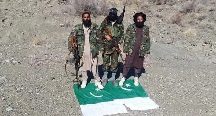 تی تی پی