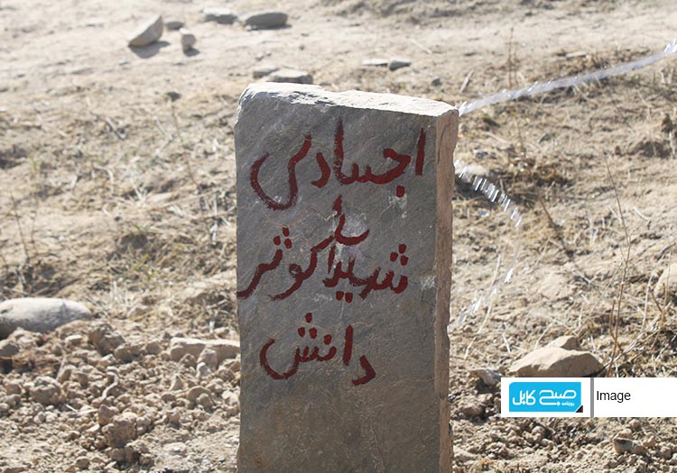 کوثر دانش