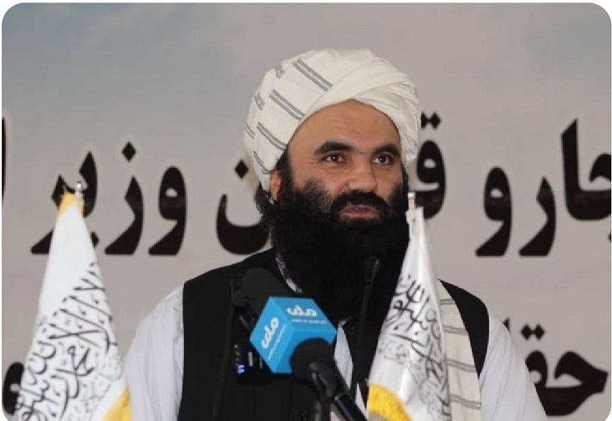 حقانی