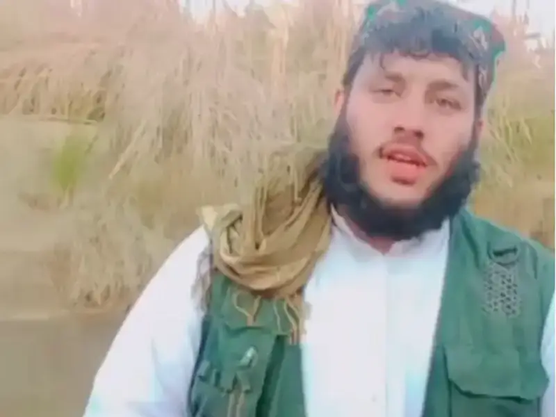 طالب