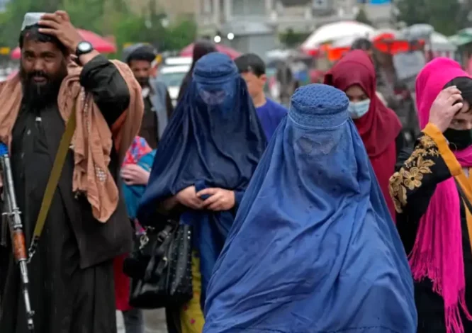 دموکراسی