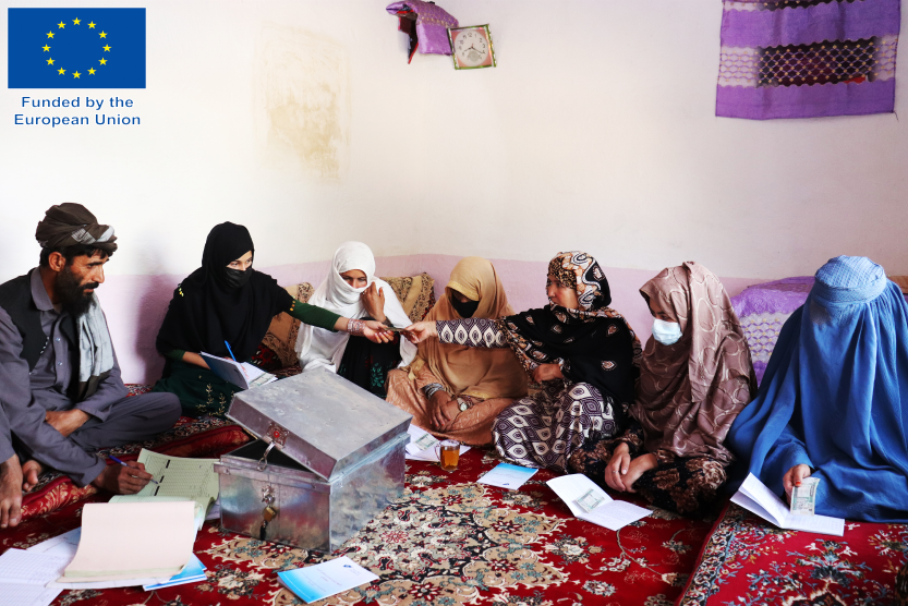 کمیته سویدن برای افغانستان