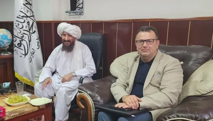علی موجانی