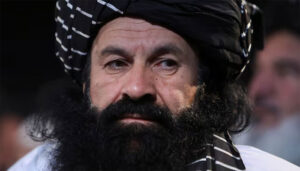حقانی