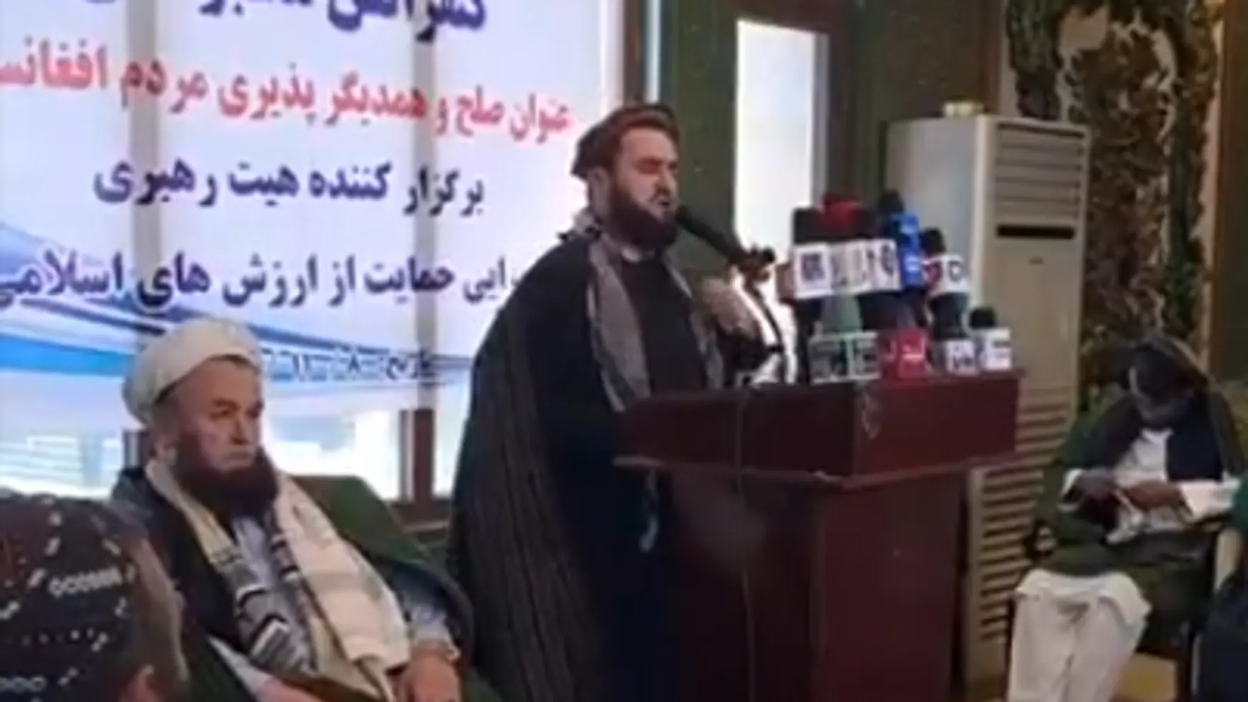 محمود حسن