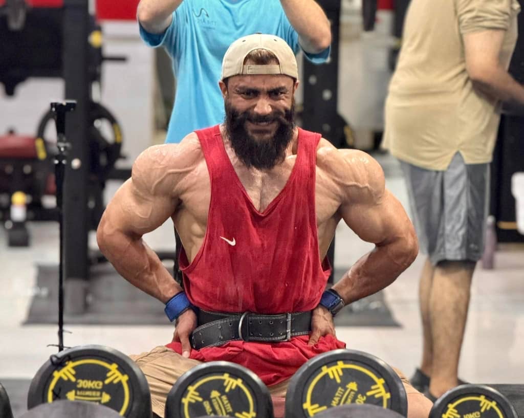 ابو حارث میرزاد