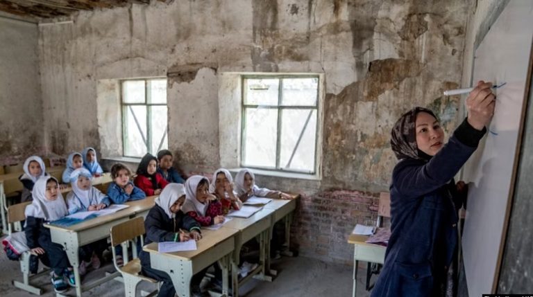 maestra