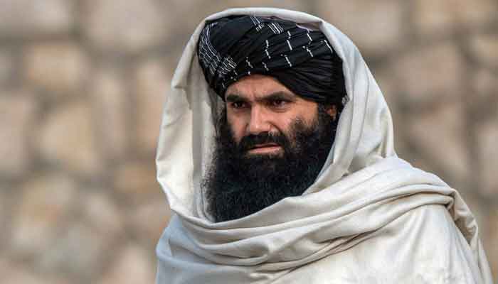 En información reciente de autoridades y niveles intermedios del Ministerio del Interior de los talibanes, muchos de ellos estuvieron involucrados en ataques sangrientos pasados haqqani