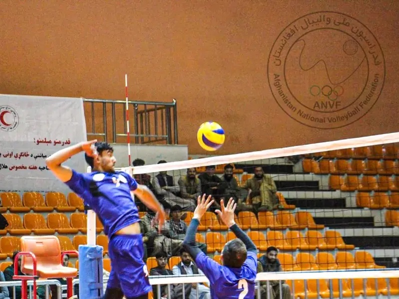 voleibol