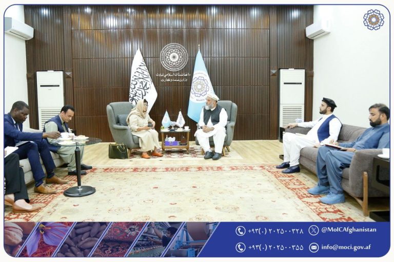 La activación de la membresía de Afganistán en la Organización Mundial del Comercio fue el centro de la conversación entre el Jefe de la UNAMA y el Ministro de Comercio de los talibanes