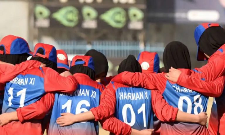 cricket