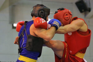 Wushu