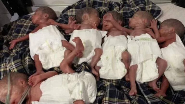 Fallecen recién nacidos sextillizos en Jowzjan