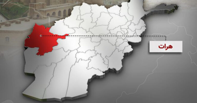 Un Líder Comunitario en Herat Fue Arrestado por Criticar a los Talibanes