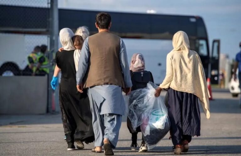 IOM: Más de un millón de migrantes afganos regresaron de Irán a Afganistán durante el año pasado.