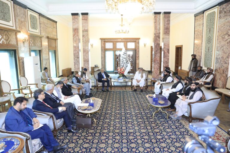 Primer Ministro talibán al Ministro de Exteriores de Pakistán: No queremos inseguridad para Islamabad